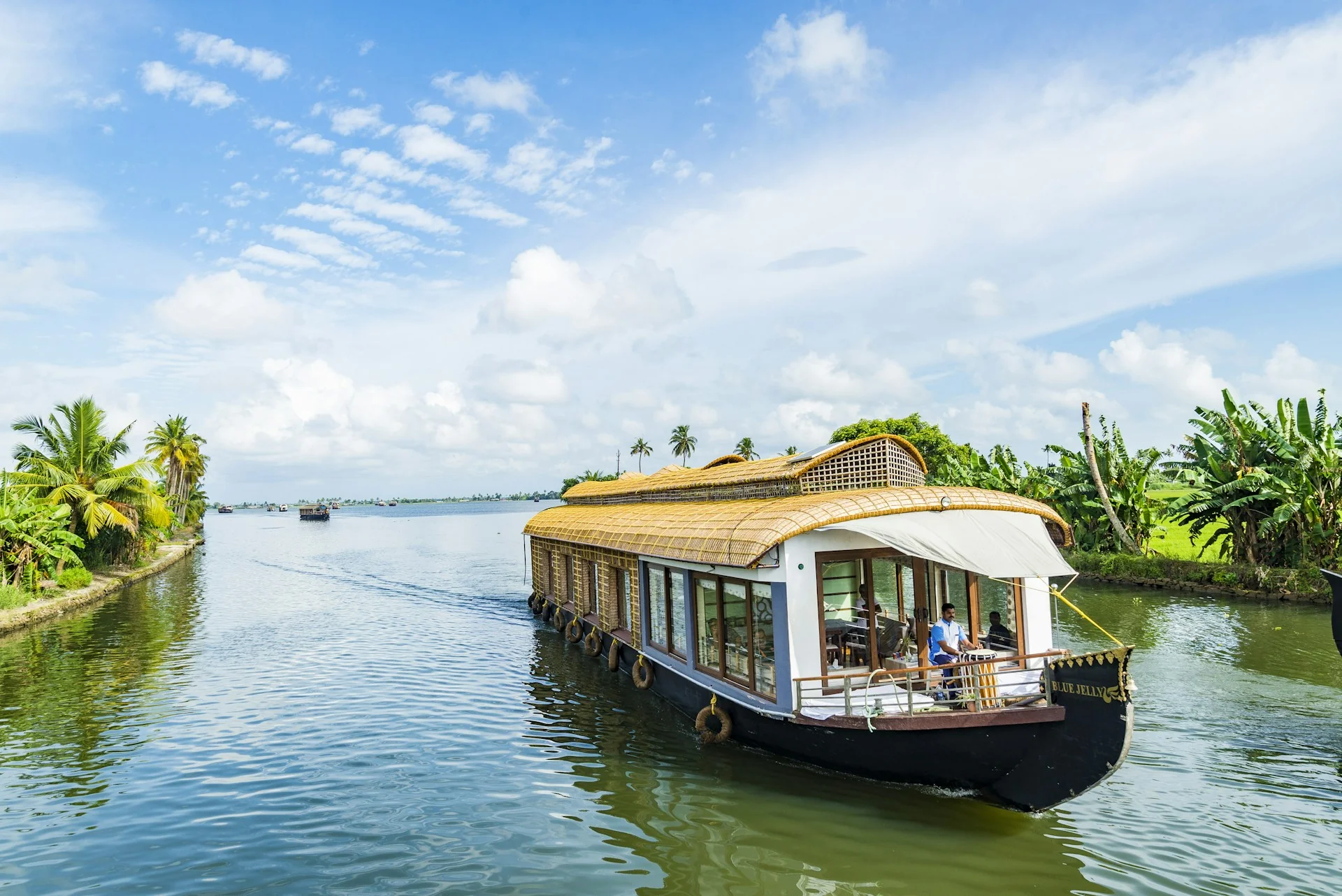 Kerala backwaters and tea gardens